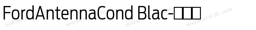 FordAntennaCond Blac字体转换